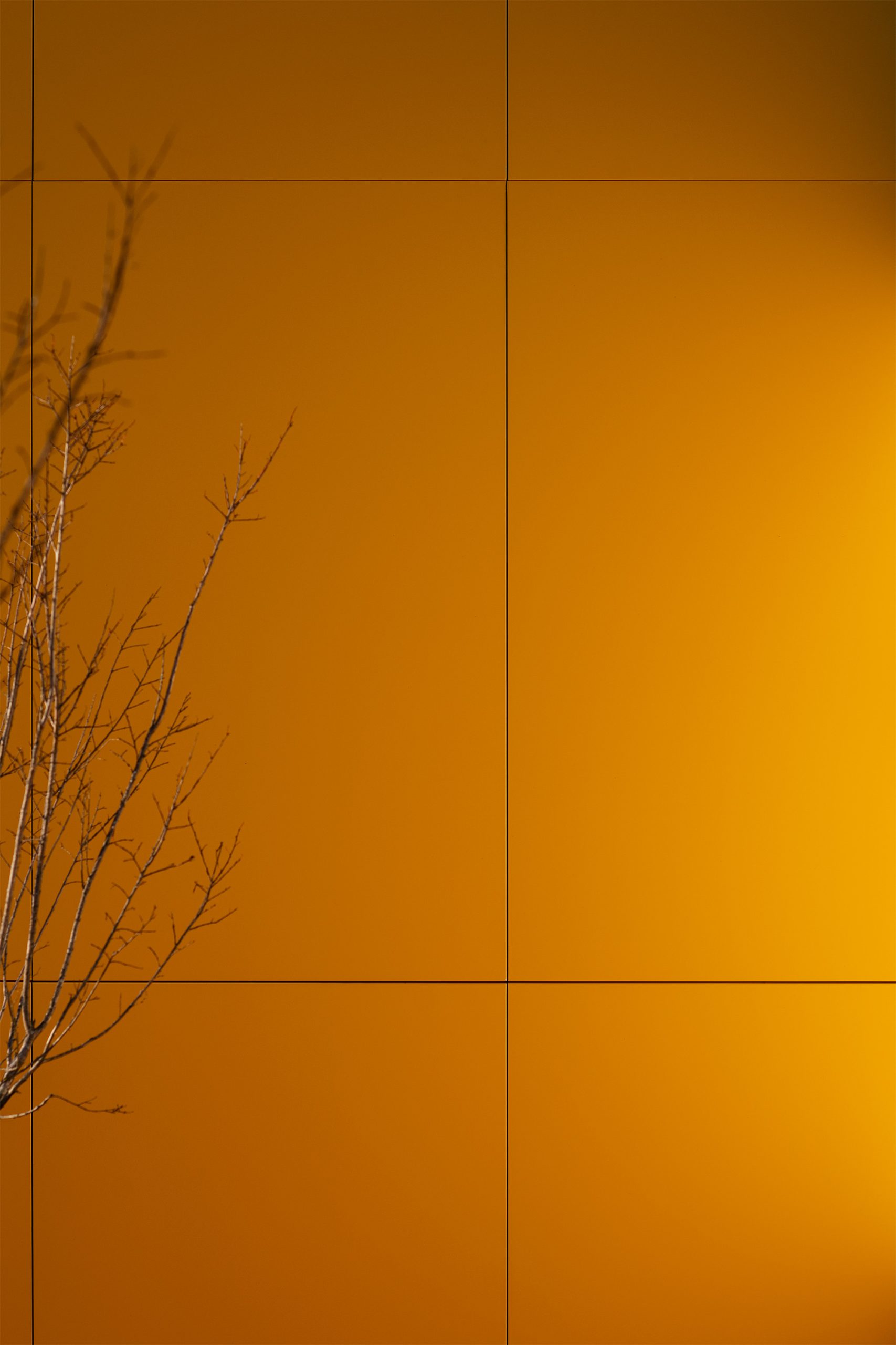 Fachada dourada metálica ao pôr do sol com escadaria frontal em betão